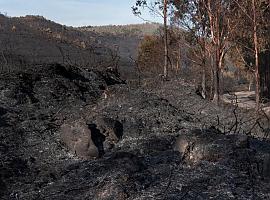 Greenpeace advierte: Aunque los incendios en España disminuyen, no es momento de bajar la guardia