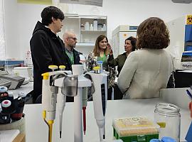 El Serida se consolida como líder en investigación agroalimentaria: Innovación y colaboración para el futuro del sector en Asturias