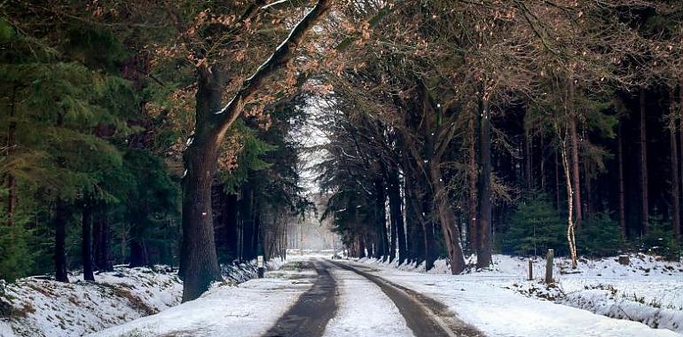 Asturias activa un robustecido Plan de Vialidad Invernal 2024-2025 para garantizar la seguridad en carreteras y enfrentar el invierno con eficacia