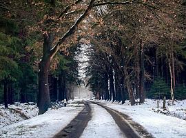 Asturias activa un robustecido Plan de Vialidad Invernal 2024-2025 para garantizar la seguridad en carreteras y enfrentar el invierno con eficacia