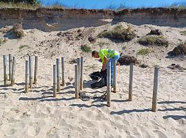 Avilés finaliza una limpieza profunda de la playa de San Balandrán, protegiendo el ecosistema dunar