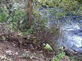 La Confederación Hidrográfica del Cantábrico inicia labores de conservación en el río Trubia para proteger la Senda del Oso en Santo Adriano