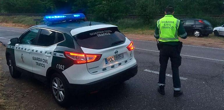 Una prófuga de Oviedo detenida tras atropellar a un jabalí en Ourense