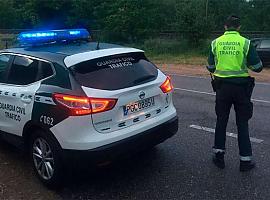 Una prófuga de Oviedo detenida tras atropellar a un jabalí en Ourense