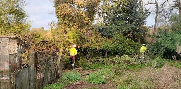 La Confederación Hidrográfica del Cantábrico refuerza la conservación del río Raíces en Castrillón