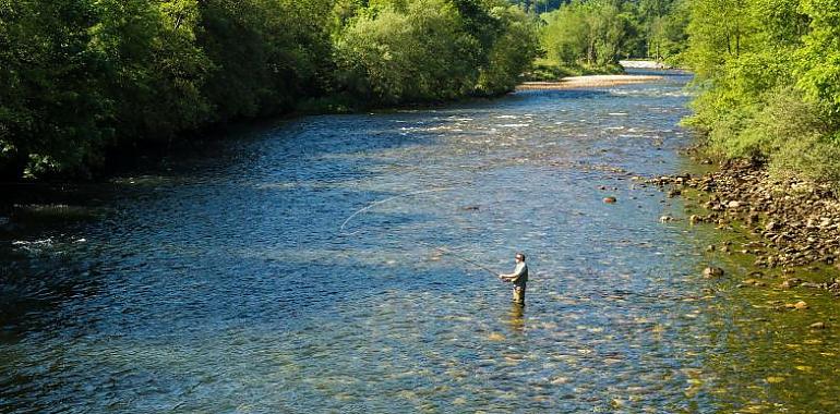 Medio Rural impulsa con 230.000 euros la sostenibilidad de la caza y la pesca fluvial en Asturias