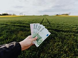 Agroseguro inyecta 32,9 millones de euros para la recuperación del campo valenciano tras la DANA: Tercera oleada de pagos para los agricultores