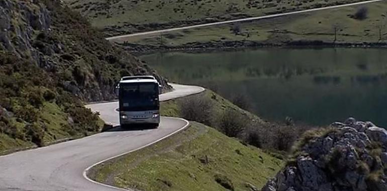 Más de 217.000 viajeros consolidan el éxito del transporte sostenible a los lagos de Covadonga