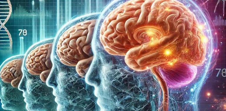 ¿Sabías que tu cerebro empieza a envejecer a los 57 Científicos descubren las edades clave para frenar su deterioro