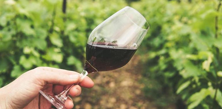 El vino tinto y su arma secreta contra el cáncer: el resveratrol que mata células tumorales y sorprende a la ciencia