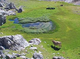 El Gobierno de Asturias invierte un millón de euros para proteger los humedales de montaña y mitigar el cambio climático