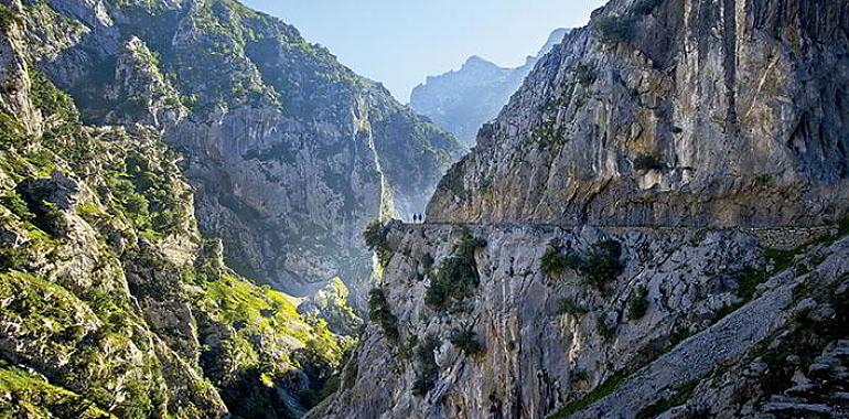 Inversión récord de 7,5 millones en la vertiente asturiana de los Picos de Europa en 2025: conservación y desarrollo en el punto de mira