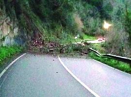 Desprendimiento de rocas interrumpe la carretera AS-227 entre Belmonte y Somiedo hasta el martes