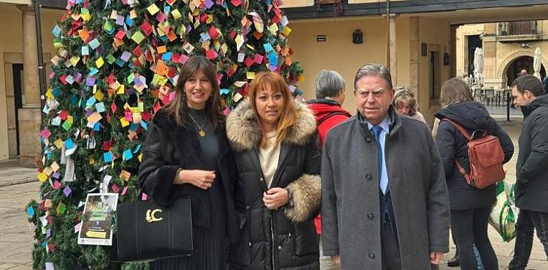 Los deseos de los ovetenses iluminan el "Árbol de los Sueños" en la Plaza del Fontán