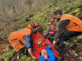 Impactante rescate en el Bosque de Peloño: un cazador herido tras una peligrosa caída