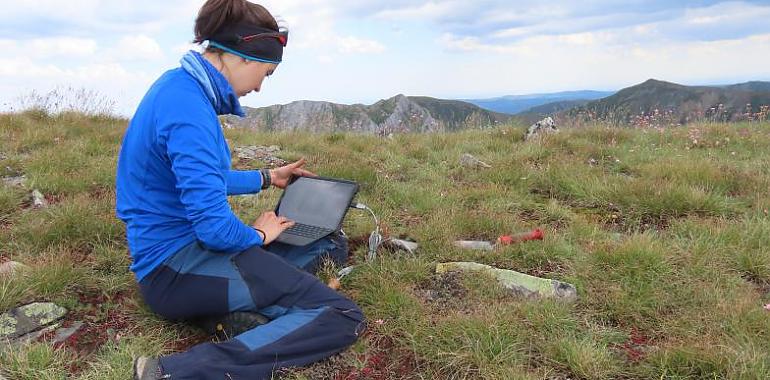 Las plantas alpinas adelantarán su germinación dos meses por el cambio climático, según un estudio de la Universidad de Oviedo