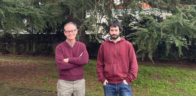 Investigadores asturianos descubren nuevos materiales que revolucionarán la nanotecnología