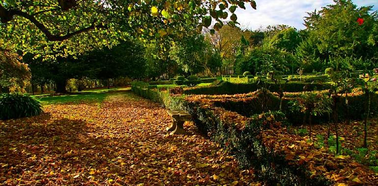 El Parque de Ferrera cierra por la borrasca Herminia: alerta por fuertes vientos en Avilés