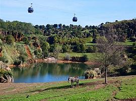 Descubre Cabárceno: el parque donde la naturaleza cobra vida