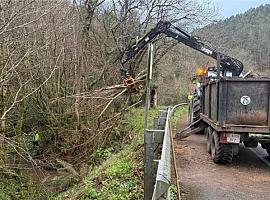 La Confederación Hidrográfica del Cantábrico impulsa la restauración del arroyo La Llamera en Soto del Barco