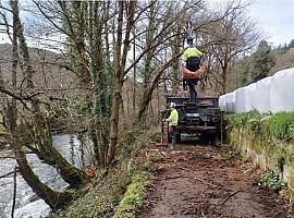 La Confederación Hidrográfica del Cantábrico inicia trabajos de conservación en el río Arganza en Tineo