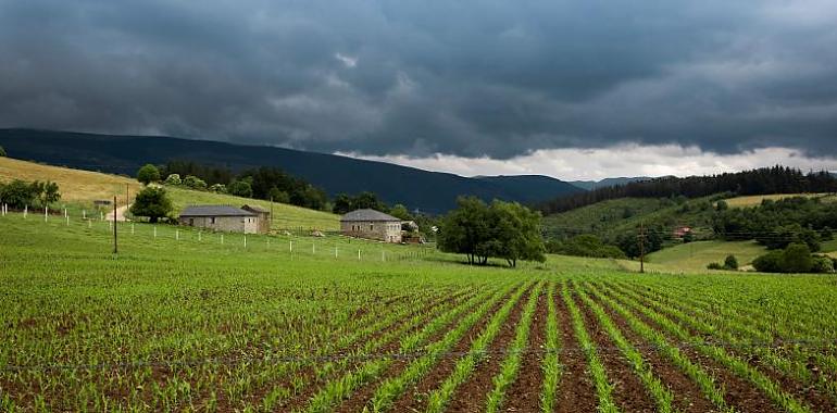 El Banco de Tierras ofrece hasta 65.000 euros para garantizar la continuidad de las explotaciones agrícolas y atraer a nuevos jóvenes al campo