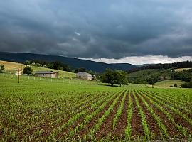 El Banco de Tierras ofrece hasta 65.000 euros para garantizar la continuidad de las explotaciones agrícolas y atraer a nuevos jóvenes al campo