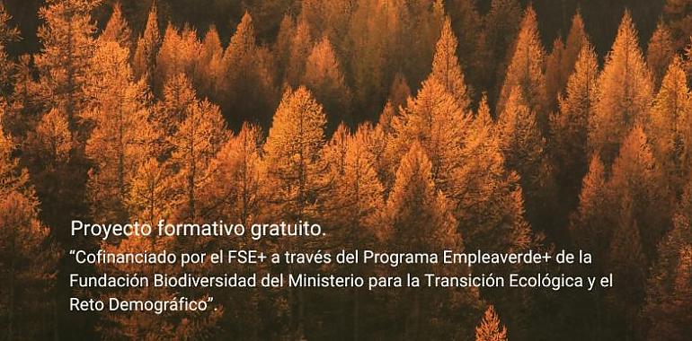 Nuevo proyecto "Horizonte Forestal": Impulsando la gestión sostenible del medio natural y el empleo verde en España