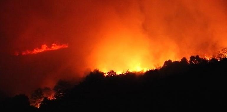 Asturias en alerta: fuertes vientos y una decena de incendios activos en once concejos