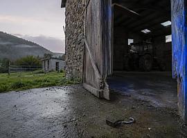 Asturias, única comunidad donde aumentan los robos en el campo: 71 denuncias y solo nueve casos esclarecidos
