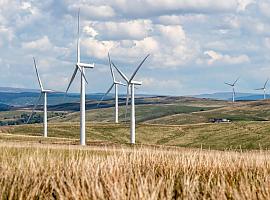 El Gobierno declara estratégica la central de La Pereda y busca acelerar su transformación energética en Mieres