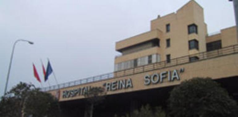 Premiados dos trabajos de personal sanitario del Reina Sofía de Tudela y del Centro de Salud de Estella 