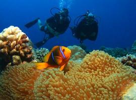 Comienza este fin de semana el “Salon de la Plongée sous-marine” de Paris