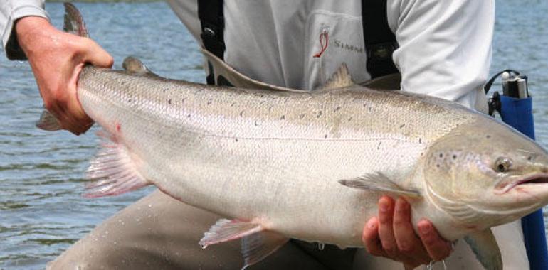 Navarra aprueba un nuevo reglamento de caza y pesca consensuado con el sector 