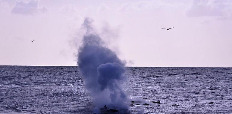 El sismo sentido en Canarias, ligado al volcán del Mar de las Calmas