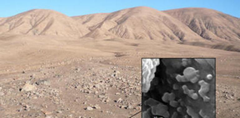 Descubren un oasis microbiano bajo el desierto de Atacama