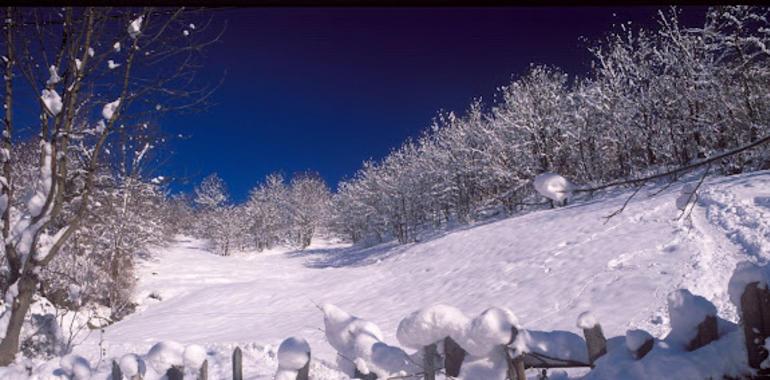 El puerto de El Connio continúa cerrado al tráfico por nieve y hielo