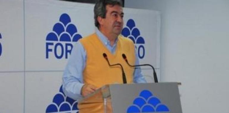 "En estas elecciones autonómicas se juega el futuro de Asturias y nadie vendrá desde Madrid a redimirnos ni a consolarnos"