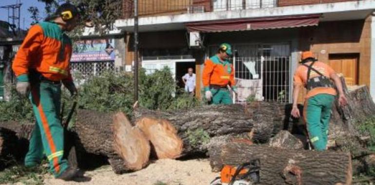 Buenos Aires trabaja denodadamente para volver a la normalidad tras el violento temporal