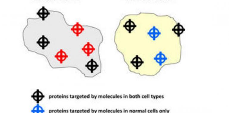 Identifican 115 proteínas para diseñar nuevos fármacos anticancerígenos