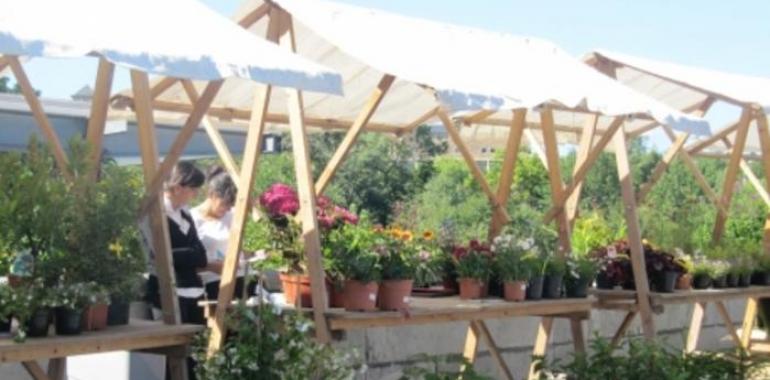 Jurado por un Día el sábado en el Jardín Botánico