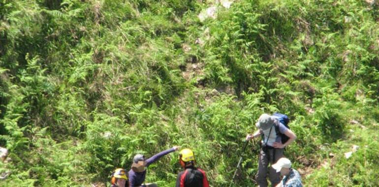 Rescatado un excursionista herido en la Sierra cerca de Arenas de Cabrales