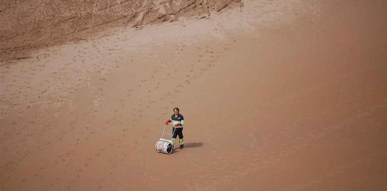 Recogidos hasta hoy 118 m3 de material sólido y arena de las playas afectadas por el vertido de fuel 