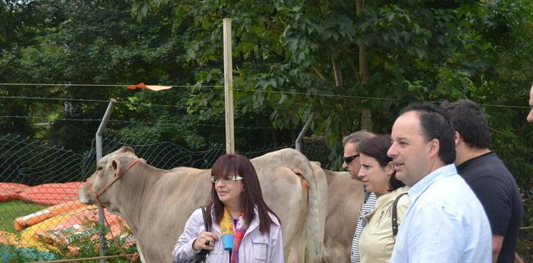 El Gobierno del Principado actuará "caso por caso" en los daños del lobo al ganado