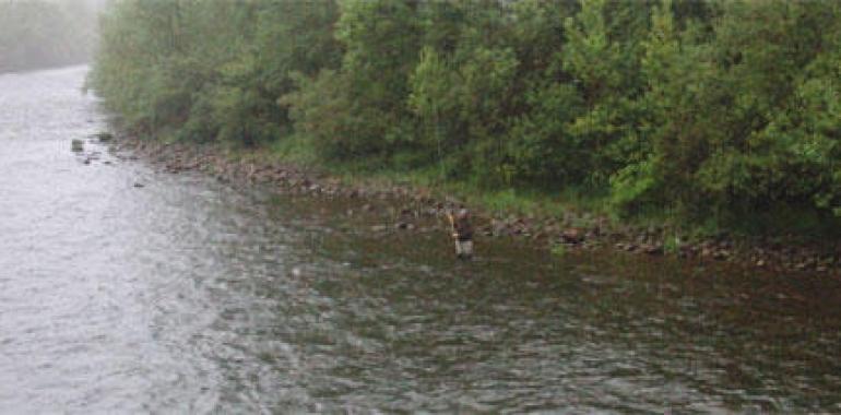 Sale a información pública el coto de pesca de Taboada en el río Moreda, afluente del Miño