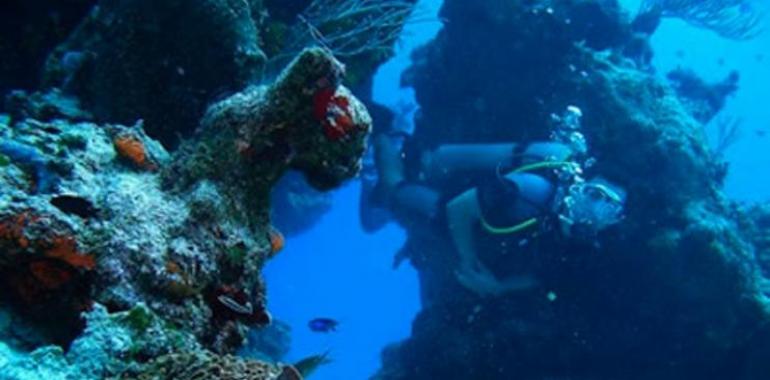 Buceo: La isla de Cozumel en el Caribe mexicano