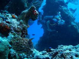 Buceo: La isla de Cozumel en el Caribe mexicano