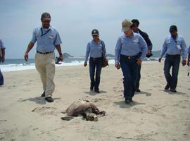 La autoridad  federal exige a Pemex detener la expansión de hidrocarburo en playas de Oaxaca 