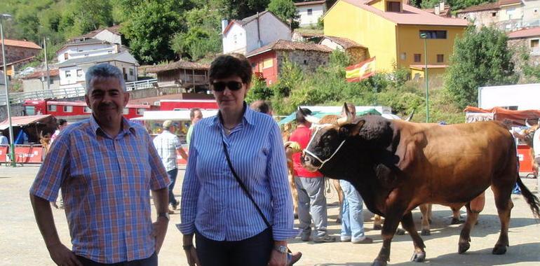 XXI Certamen Nacional de Rebaños de Asturiana de los Valles