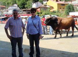 XXI Certamen Nacional de Rebaños de Asturiana de los Valles